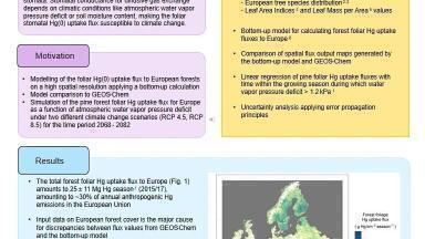 An assessment of current and future foliar Hg uptake fluxes to European pine forests